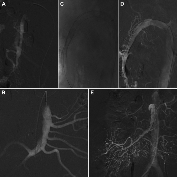 Fig 2