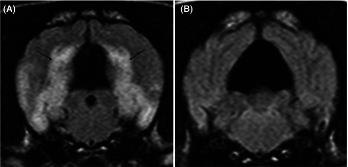 FIGURE 3