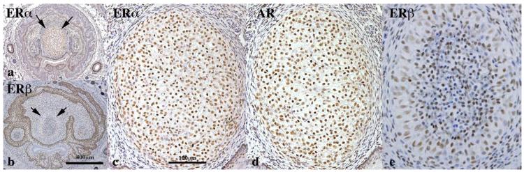 Fig. 11