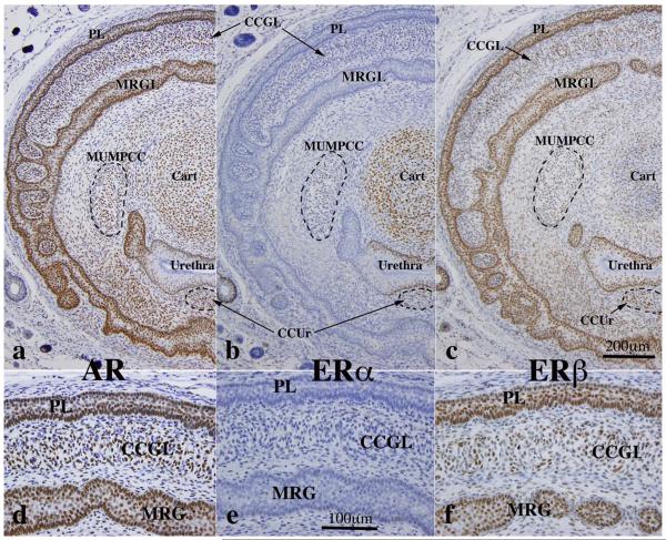 Fig. 12