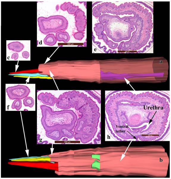 Fig. 9