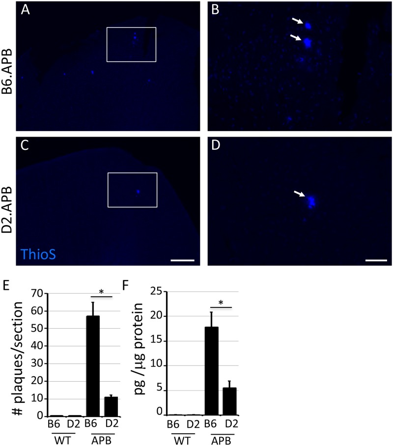 Fig 4