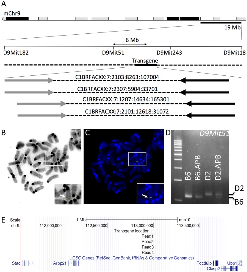 Fig 1