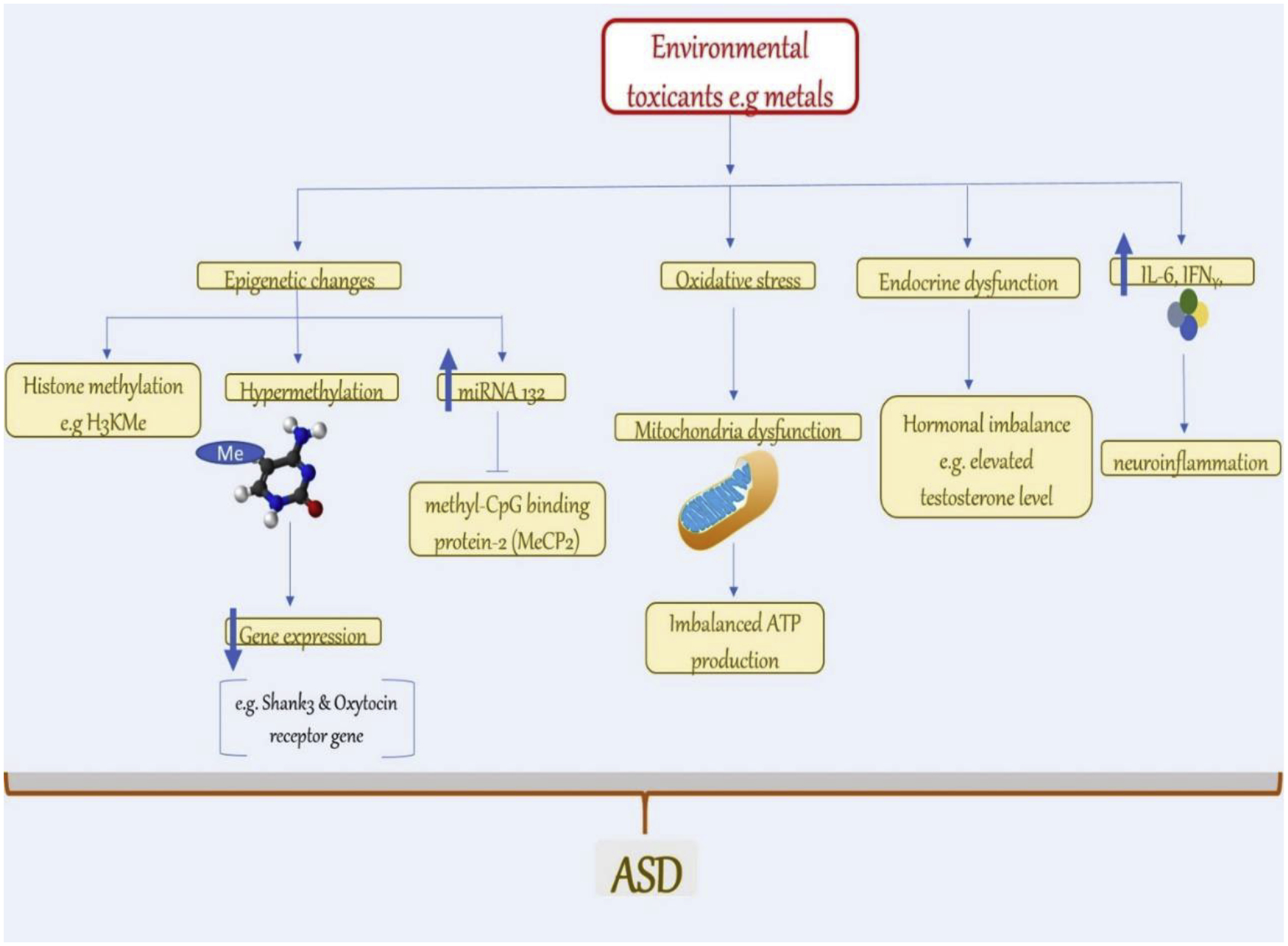 Figure 1: