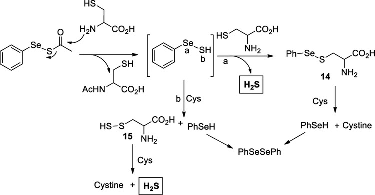 Scheme 5