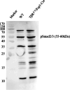 figs2