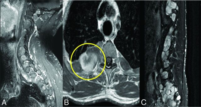 Fig 1.