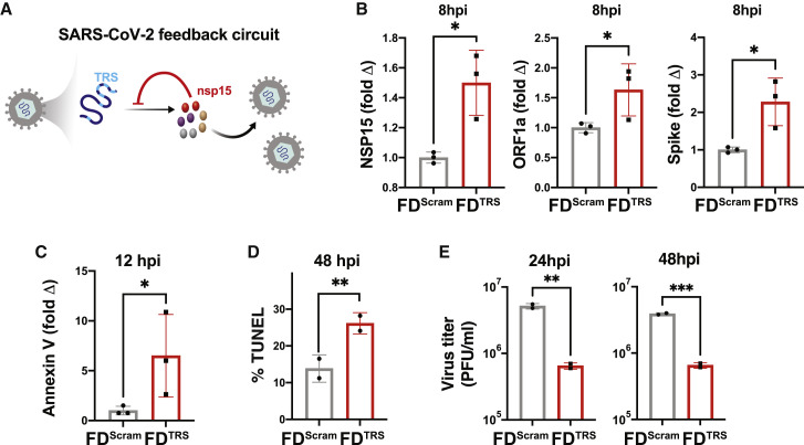 Figure 7