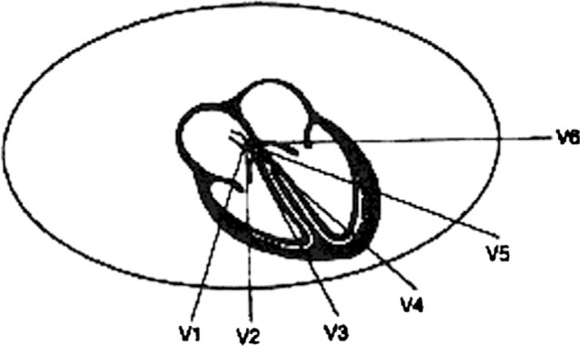 Fig. 5