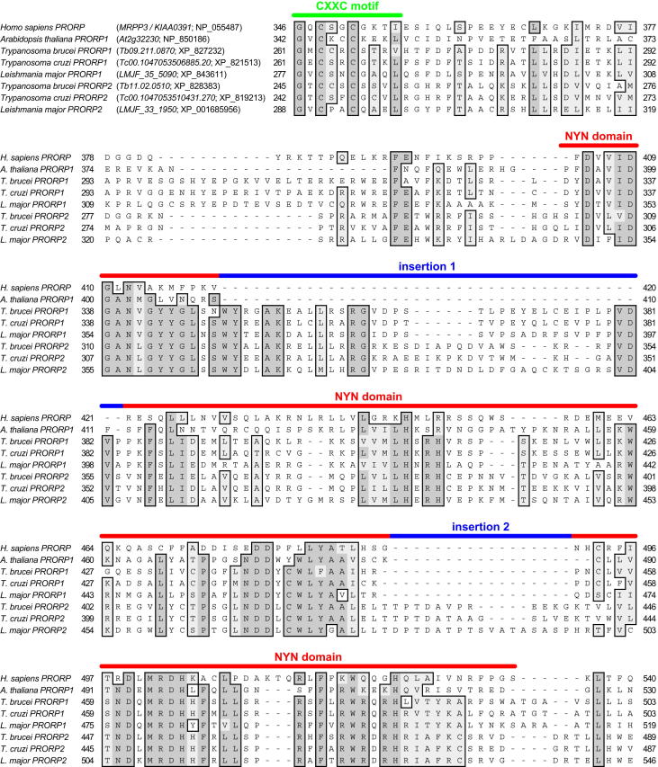 Figure S1