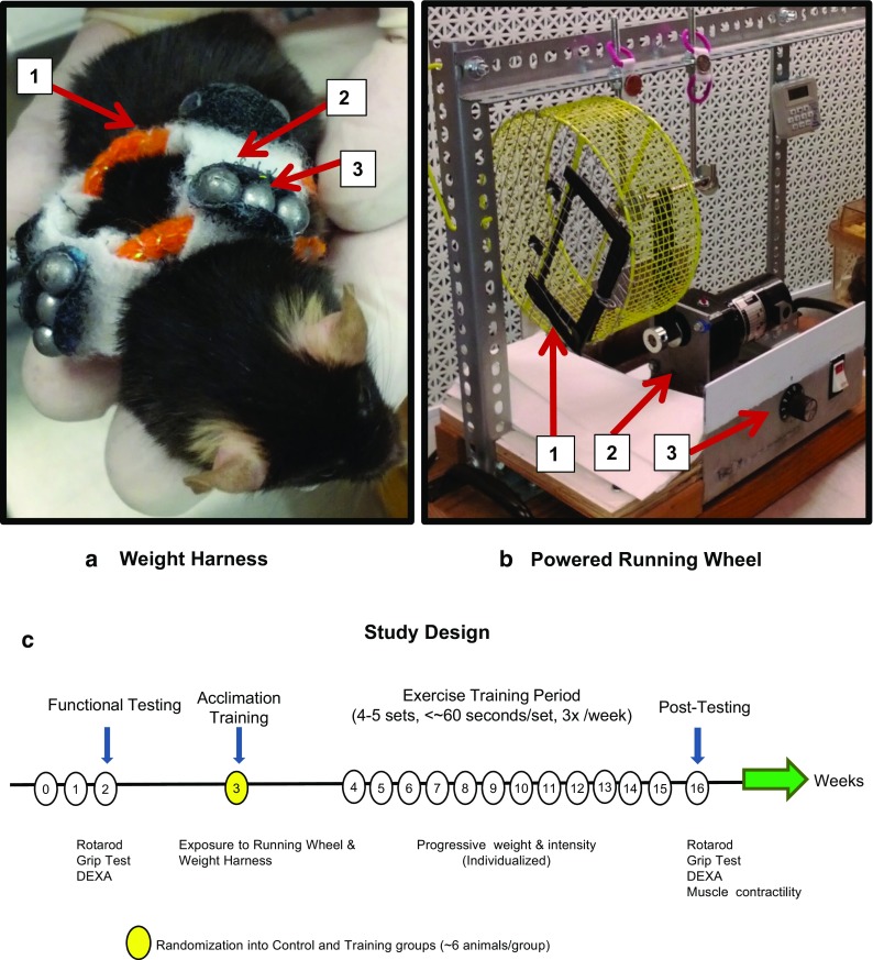 Fig. 1