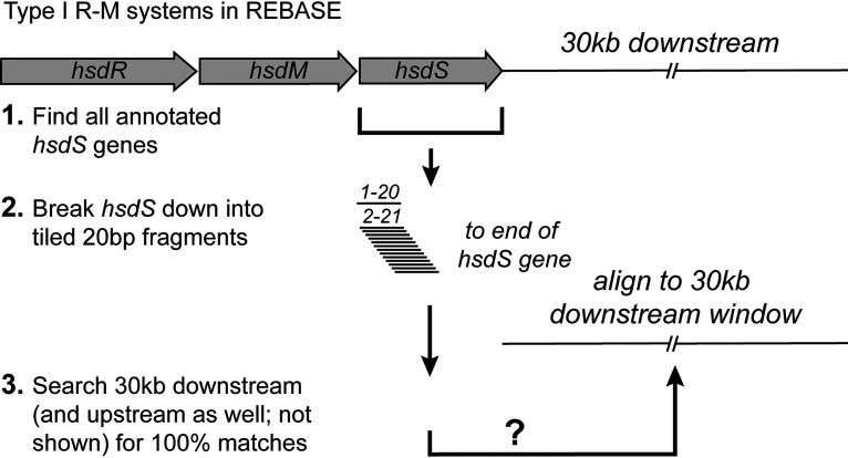 FIG 2