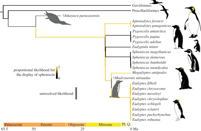 Figure 1.