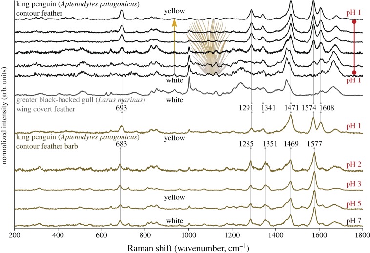 Figure 4.