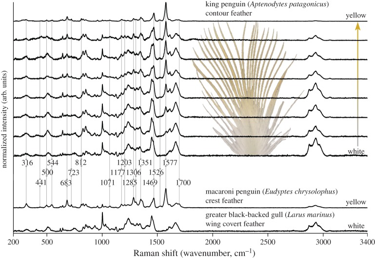 Figure 3.