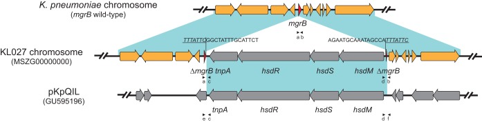 FIG 1