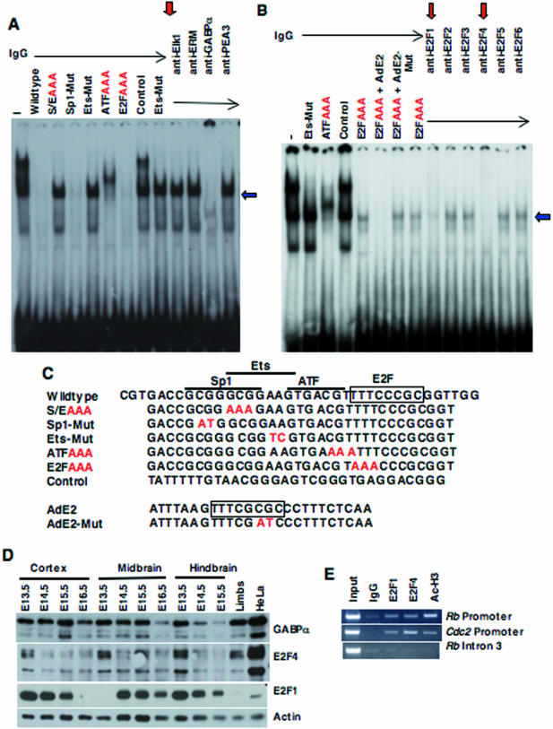 FIG. 6.