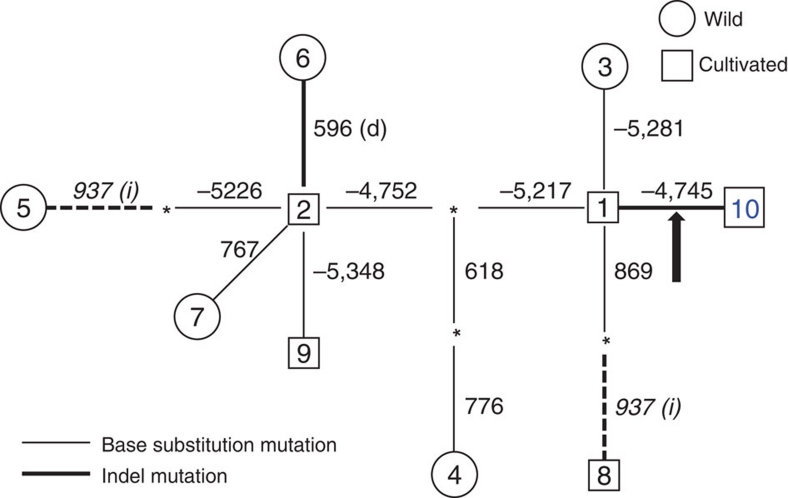 Figure 6