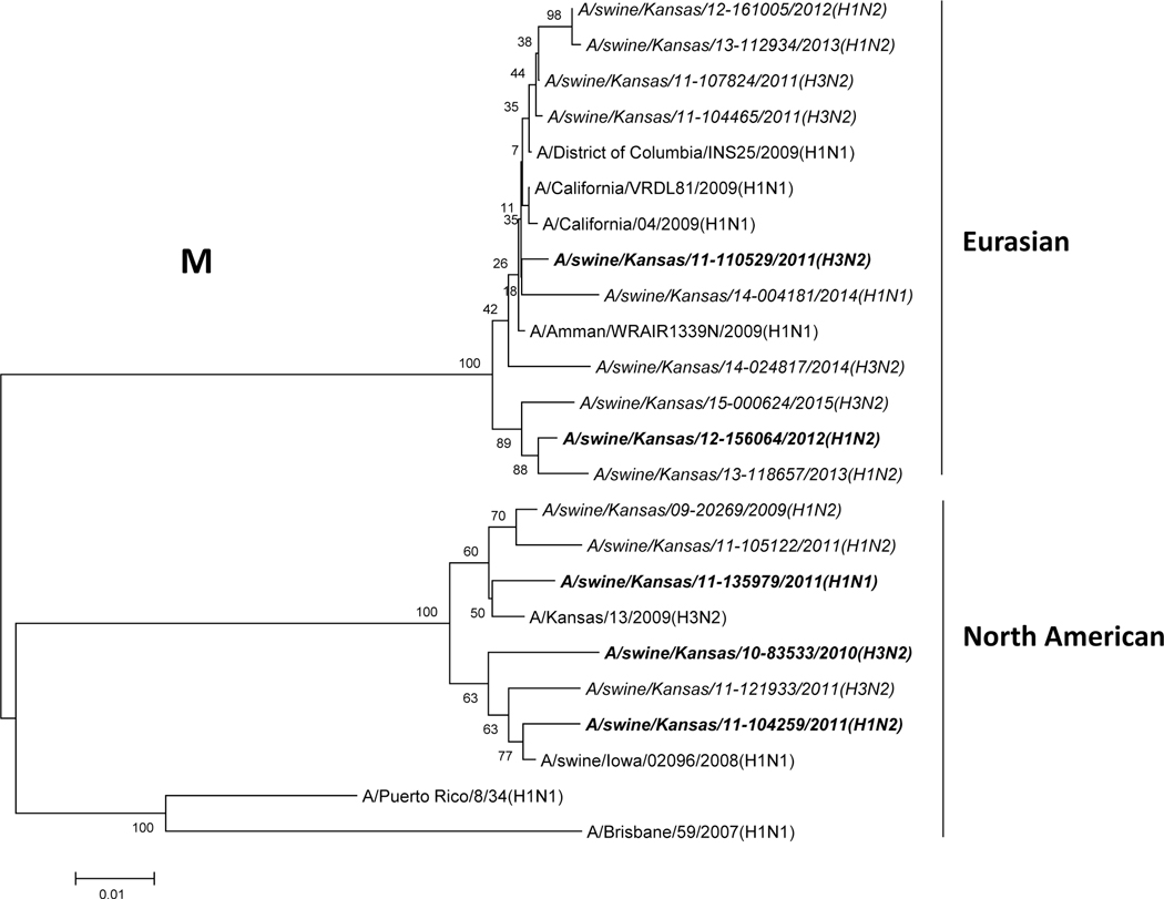 Figure 1: