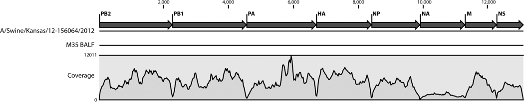 Figure 3: