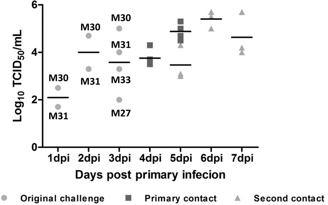 Figure 2: