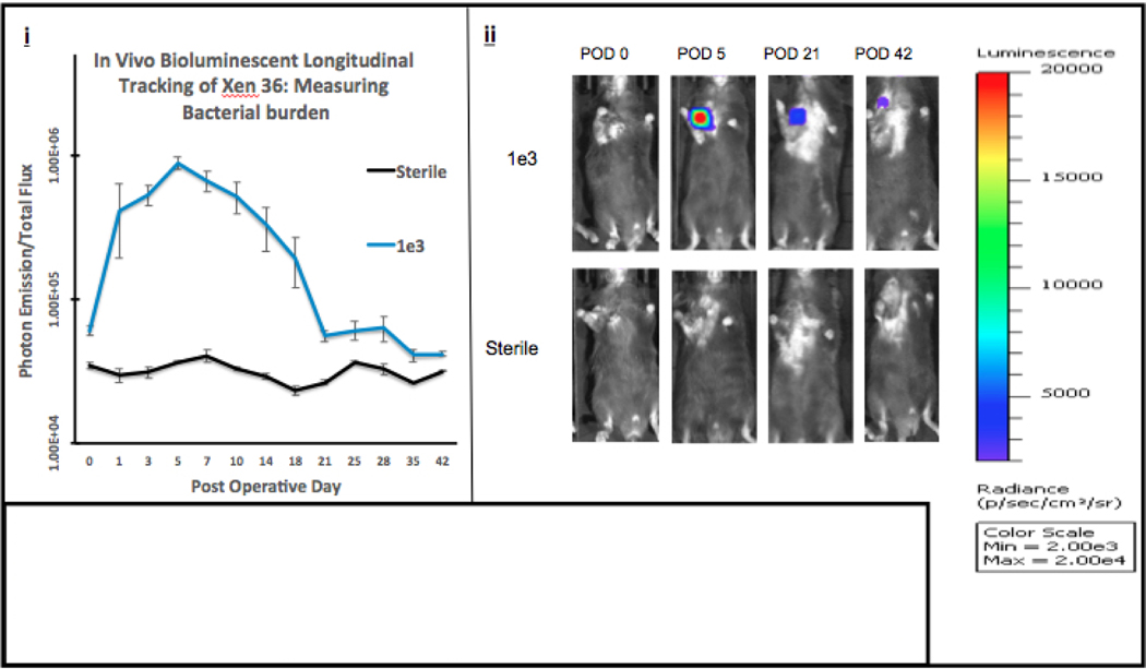 Figure 3A.