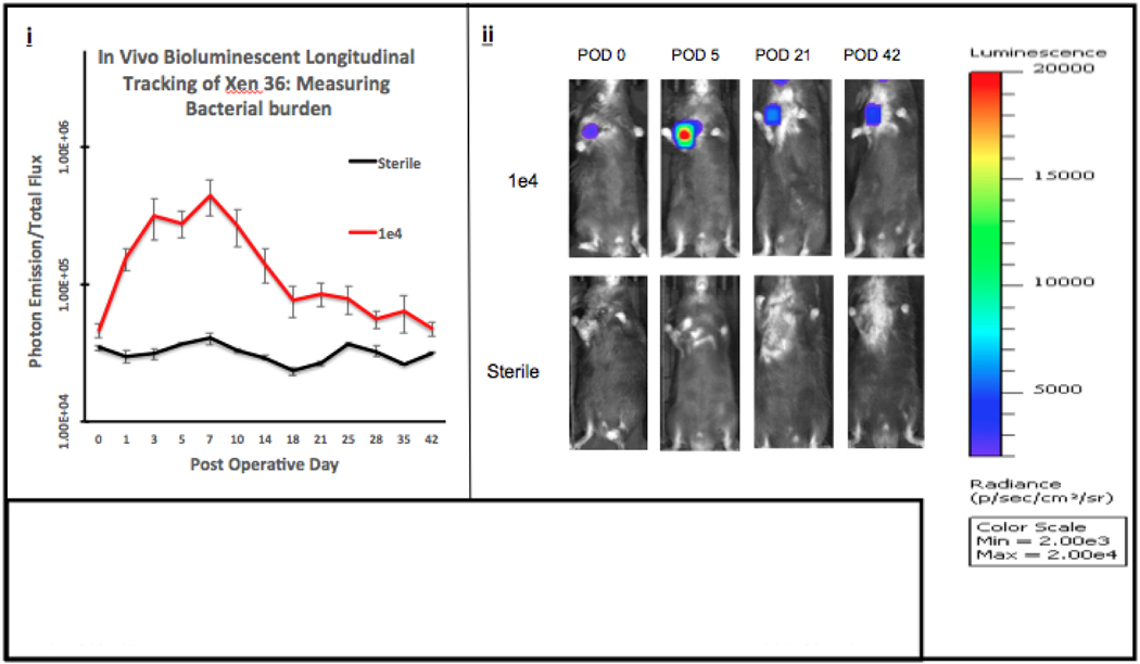 Figure 3B.