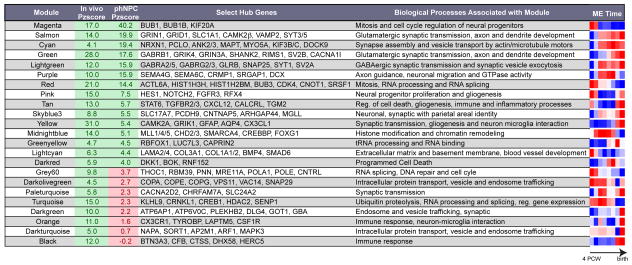 graphic file with name nihms601533f8.jpg