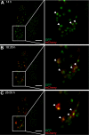 Fig 8