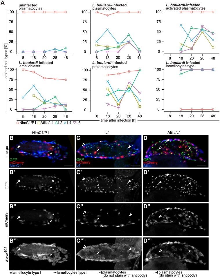 Fig 10