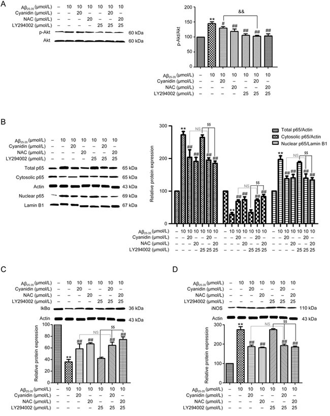 Figure 3A-D