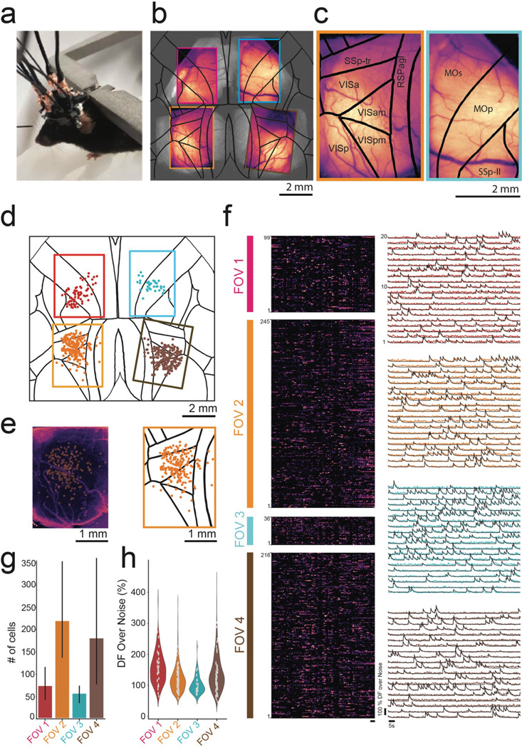 Figure 3: