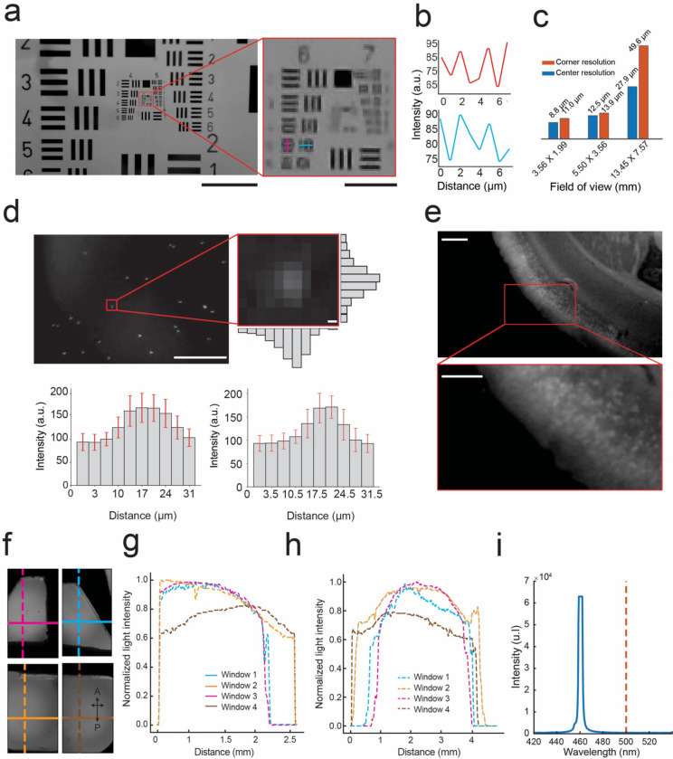 Figure 2: