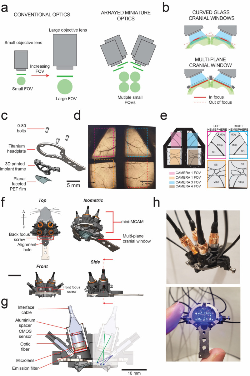 Figure 1: