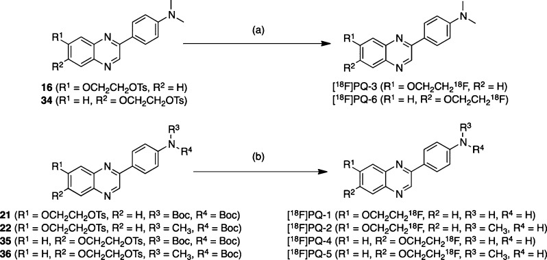 Scheme 3