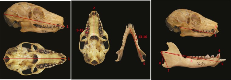 Fig. S1.