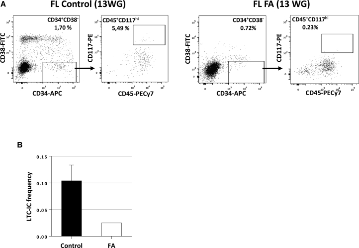 Figure 5