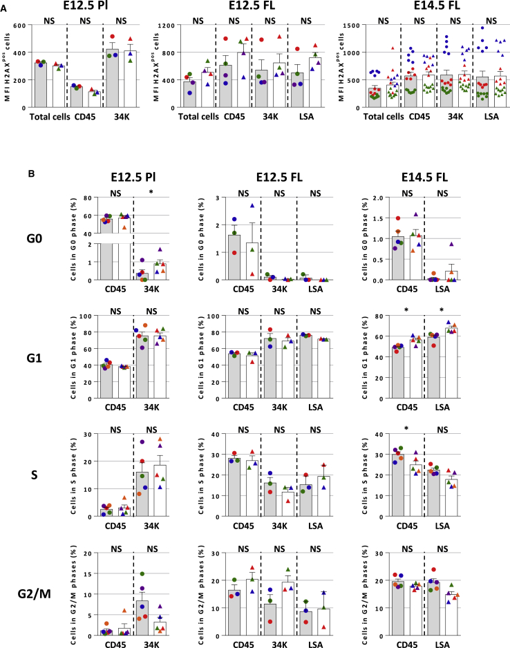 Figure 4