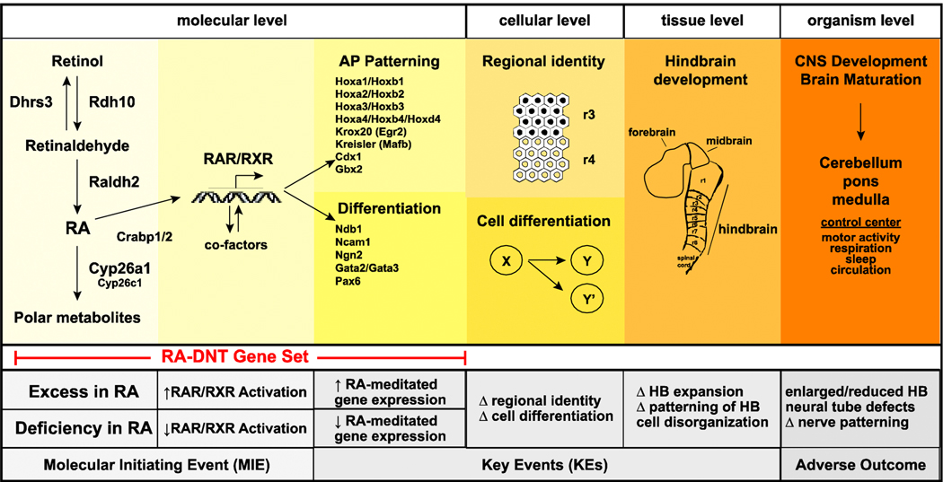 Figure 4.