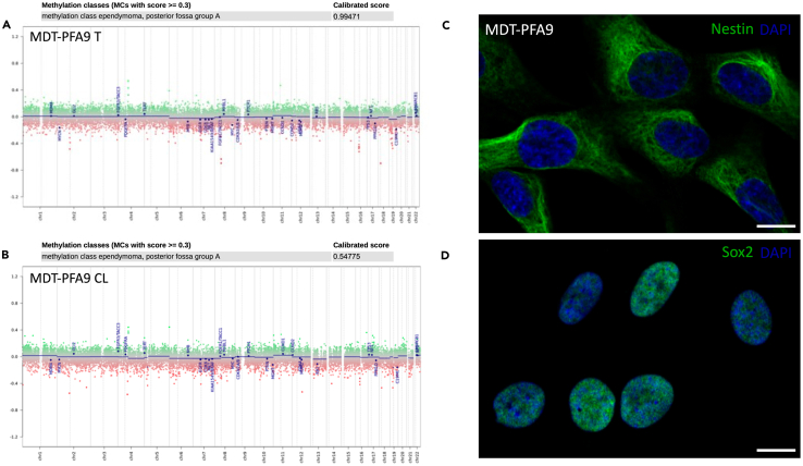 Figure 2