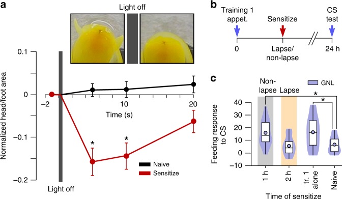 Fig. 4