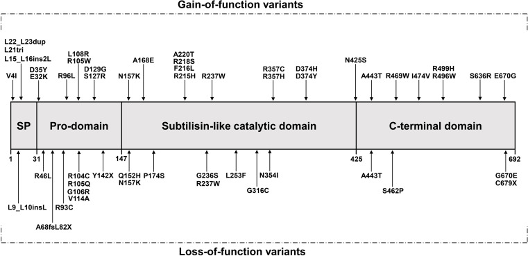 FIGURE 1