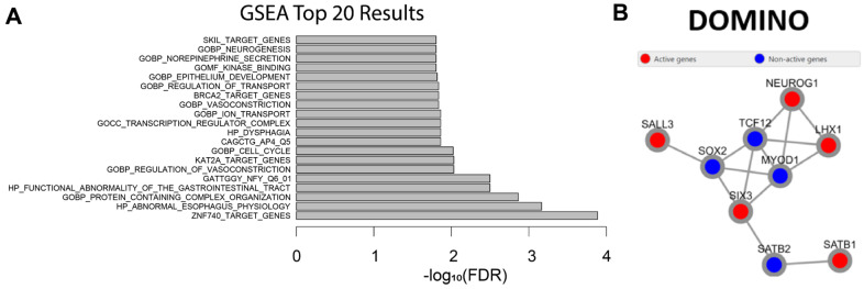 Figure 5