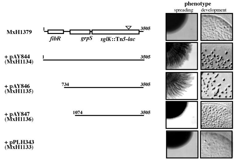 FIG. 4