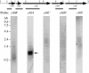 FIG. 6.