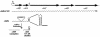 FIG. 9.
