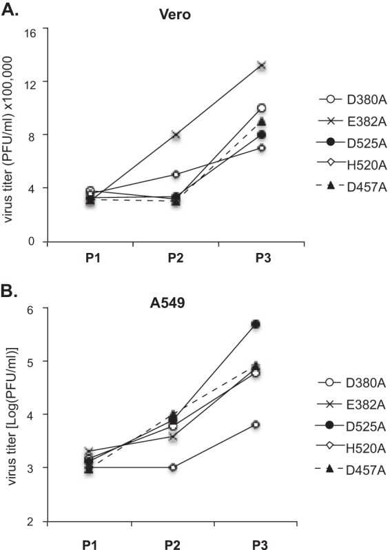 FIG 6