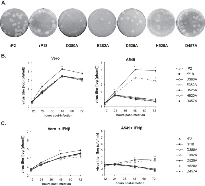 FIG 3