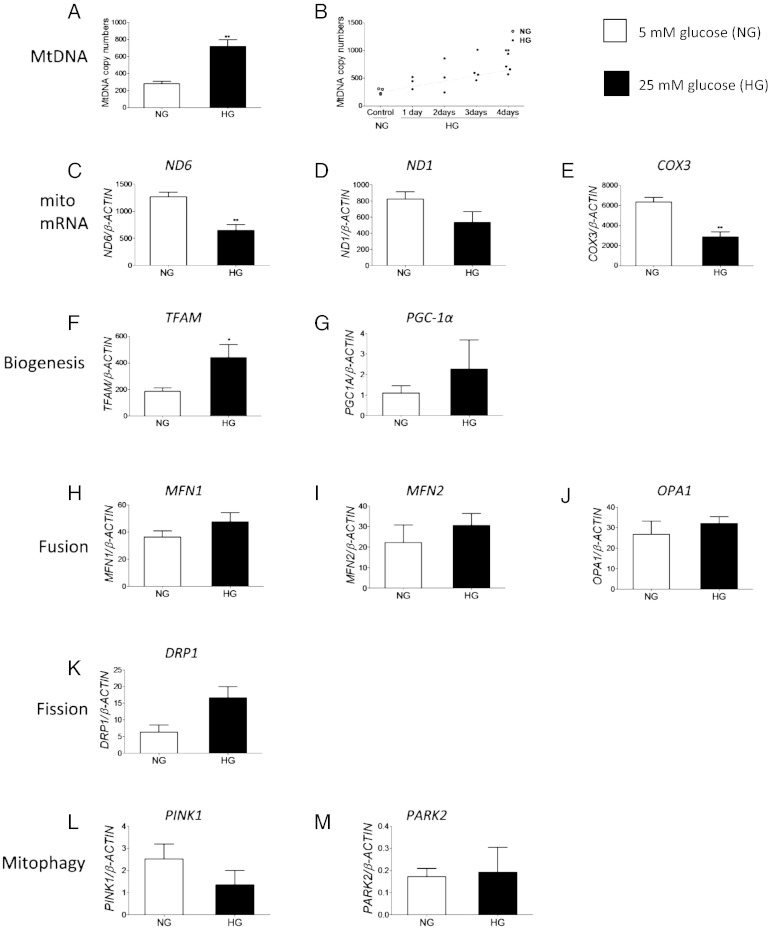 Fig. 4