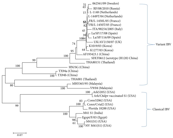 Figure 11